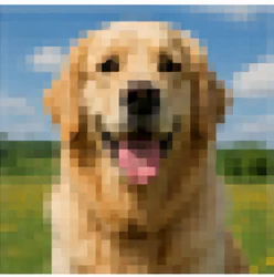 粗くぼやけた犬の写真