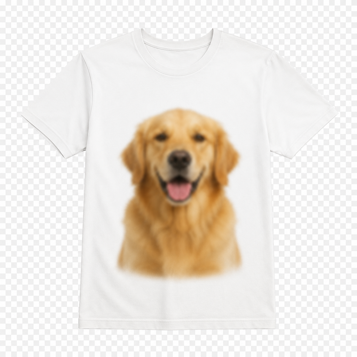 粗く見えるTシャツプリントの仕上がりイメージ