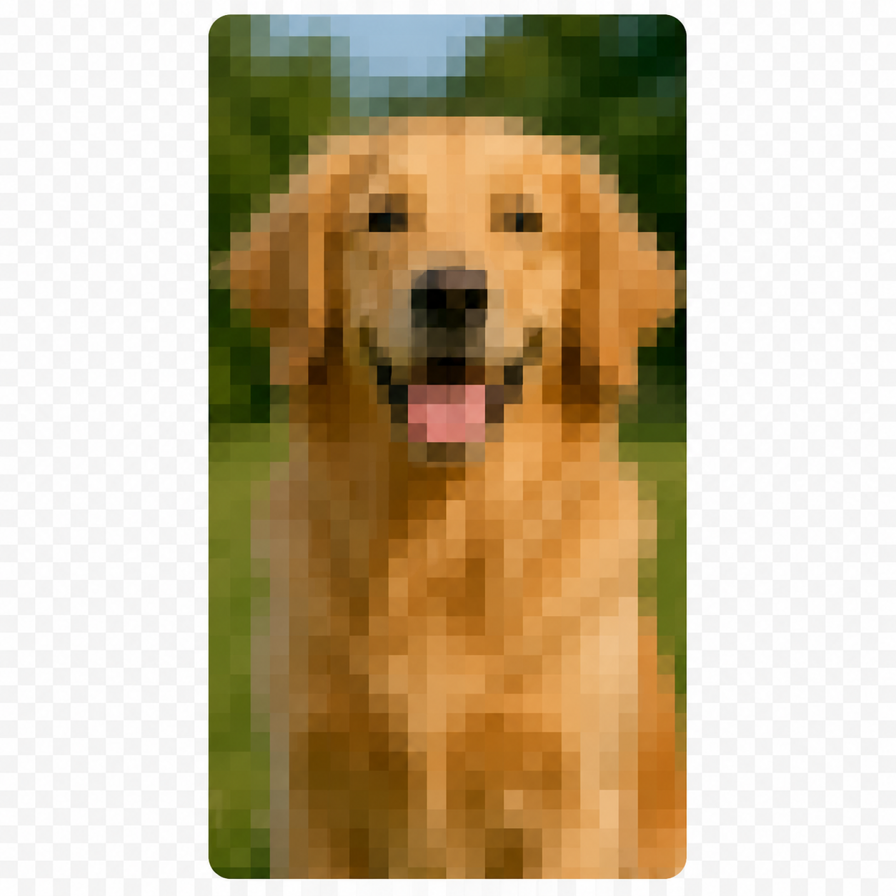 低解像度で粗い元画像