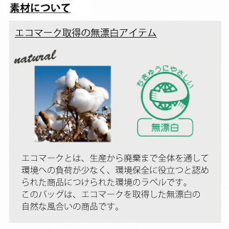 キャンバスアウトハンドルフラットトート